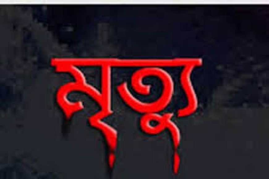 ইজিবাইকের চাকায় ওড়না পেঁচিয়ে নারীর মৃত্যু