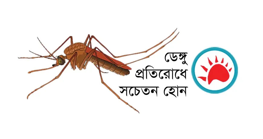 ২৪ ঘণ্টায় ডেঙ্গুতে ১৫ জনের মৃত্যু, হাসপাতালে ৩১২৩