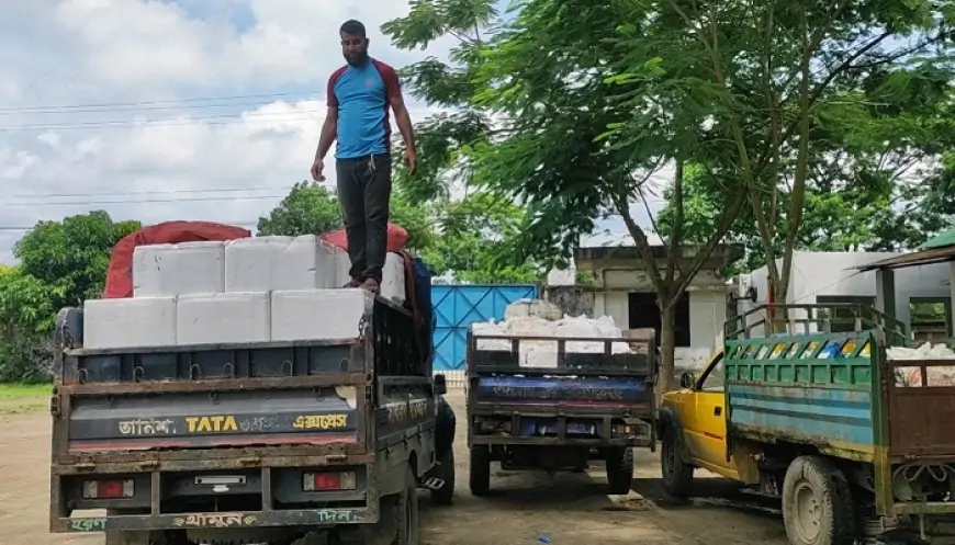 ৩ দিনে বেনাপোল দিয়ে ভারত গেলো ১৭৪ টন ইলিশ