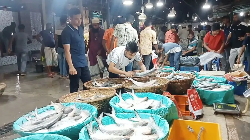 দুর্গাপূজা উপলক্ষে ভারতে যাচ্ছে ৩ হাজার ৯৫০ টন ইলিশ